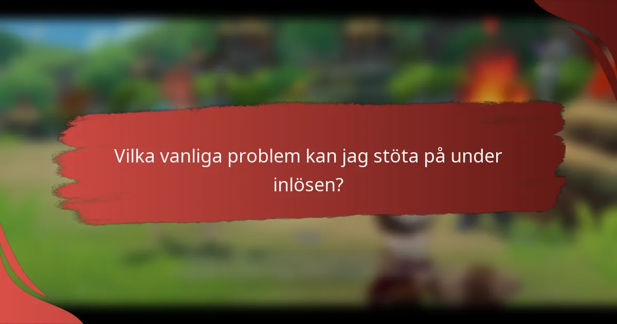 Vilka vanliga problem kan jag stöta på under inlösen?